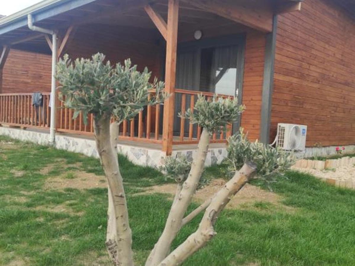 Koru Wooden House